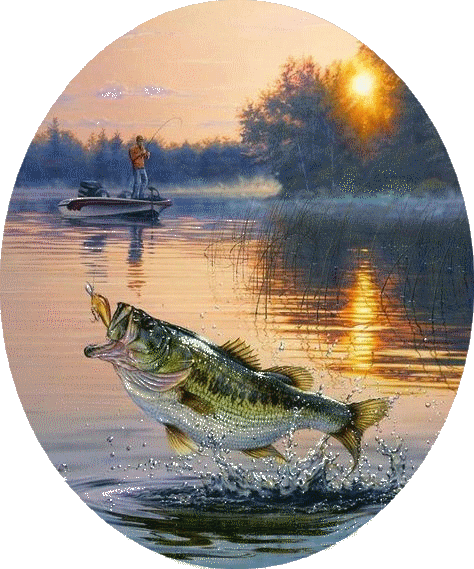 picture of jumping bass, Lake Hamilton Bass N Wolves fishing team